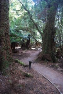 The Tarkine Drive Trowutta Arch.003 10h08m25s2019 03 22