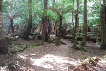 The Tarkine Drive Trowutta Arch.005 10h10m00s2019 03 22