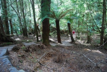 The Tarkine Drive Trowutta Arch.009 10h16m26s2019 03 22