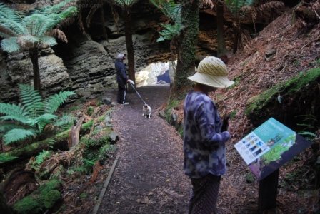 The Tarkine Drive Trowutta Arch.024 10h24m05s2019 03 22