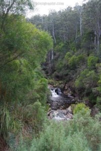 Halls Falls Pyengana.002 11h10m50s2019 05 22 Halls Falls Pyengana.002 11h10m50s2019 05 22