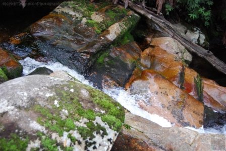 Halls Falls Pyengana.013 11h20m41s2019 05 22 Halls Falls Pyengana.013 11h20m41s2019 05 22