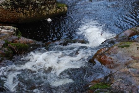 Halls Falls Pyengana.017 11h23m35s2019 05 22 Halls Falls Pyengana.017 11h23m35s2019 05 22