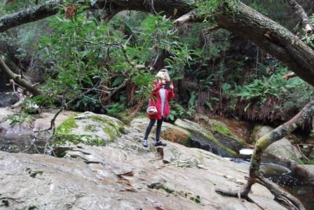 Halls Falls Pyengana.034 11h34m00s2019 05 22 Halls Falls Pyengana.034 11h34m00s2019 05 22