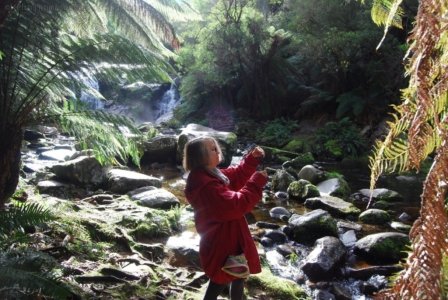 Halls Falls Pyengana.043 11h46m59s2019 05 22 Halls Falls Pyengana.043 11h46m59s2019 05 22