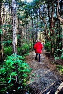 Goblin Forest Walk Blue Tier.002 11h07m54s2019 06 07 JPG Goblin Forest Walk Blue Tier.002 11h07m54s2019 06 07 JPG