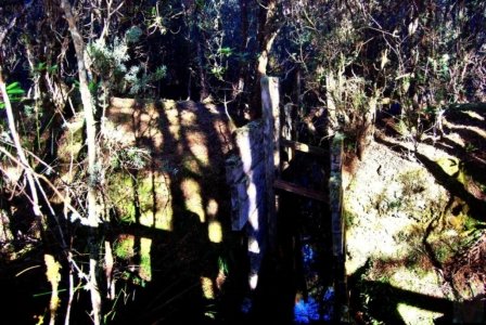 Goblin Forest Walk Blue Tier.007 11h10m48s2019 06 07 JPG Goblin Forest Walk Blue Tier.007 11h10m48s2019 06 07 JPG