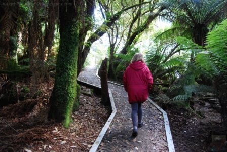 St Columba Falls Pyengana.007 11h08m21s2019 05 31 St Columba Falls Pyengana.007 11h08m21s2019 05 31