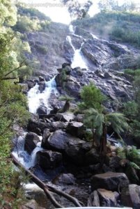 St Columba Falls Pyengana.009 11h08m53s2019 05 31 St Columba Falls Pyengana.009 11h08m53s2019 05 31