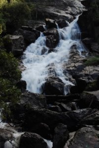 St Columba Falls Pyengana.017 11h11m22s2019 05 31 St Columba Falls Pyengana.017 11h11m22s2019 05 31