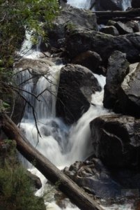 St Columba Falls Pyengana.018 11h11m27s2019 05 31 St Columba Falls Pyengana.018 11h11m27s2019 05 31