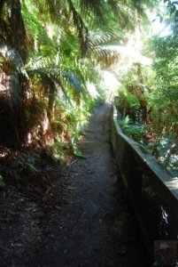 St Columba Falls Pyengana.026 11h22m41s2019 05 31 St Columba Falls Pyengana.026 11h22m41s2019 05 31