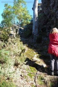 South Sister St Marys.001 11h53m36s2019 07 28 South Sister St Marys.001 11h53m36s2019 07 28