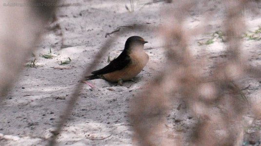 Coal Mines Historic Site.004pz 09h17m14s2019 10 24 Coal Mines Historic Site.004pz 09h17m14s2019 10 24