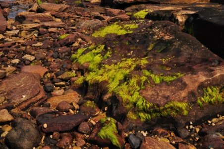 Coal Mines Historic Site.022 09h29m52s2019 10 24 Coal Mines Historic Site.022 09h29m52s2019 10 24