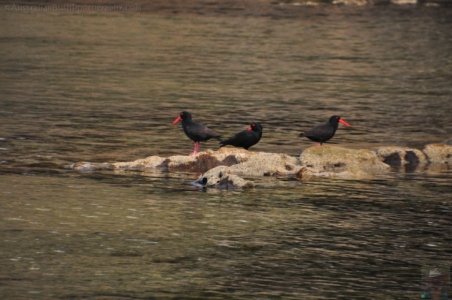 Coal Mines Historic Site.024 09h31m05s2019 10 24 Coal Mines Historic Site.024 09h31m05s2019 10 24