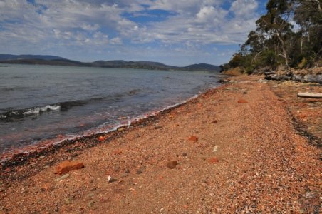 Coal Mines Historic Site.089 10h59m49s2019 10 24 Coal Mines Historic Site.089 10h59m49s2019 10 24