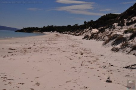Lagoon Beach Walk.030 10h49m01s2019 10 23 Lagoon Beach Walk.030 10h49m01s2019 10 23