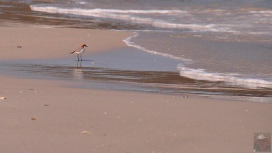 Lagoon Beach Walk.040pz 11h03m51s2019 10 23 Lagoon Beach Walk.040pz 11h03m51s2019 10 23