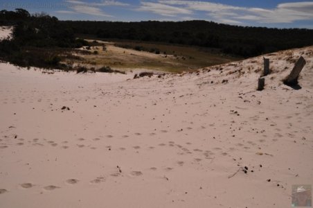 Lagoon Beach Walk.056 11h16m16s2019 10 23 Lagoon Beach Walk.056 11h16m16s2019 10 23