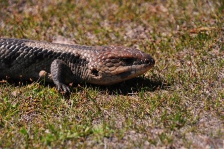 Lagoon Beach Walk.062 11h24m30s2019 10 23 Lagoon Beach Walk.062 11h24m30s2019 10 23