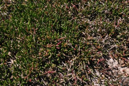 Lagoon Beach Walk.064 11h29m13s2019 10 23 Lagoon Beach Walk.064 11h29m13s2019 10 23