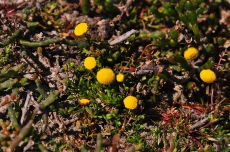 Lagoon Beach Walk.065 11h35m04s2019 10 23 Lagoon Beach Walk.065 11h35m04s2019 10 23