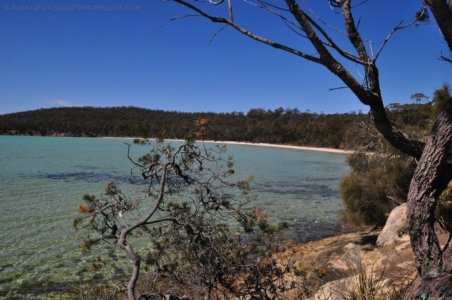 Lime Bay.015 12h23m46s2019 10 22 Lime Bay.015 12h23m46s2019 10 22