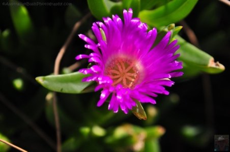 Lime Bay.023 12h39m56s2019 10 22 Lime Bay.023 12h39m56s2019 10 22