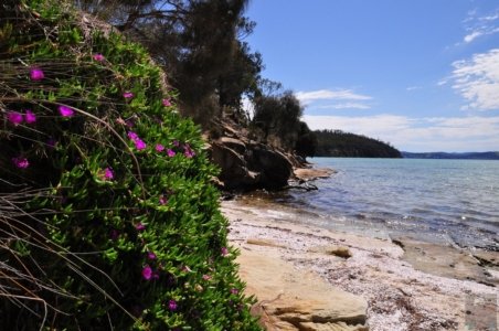 Lime Bay.024 12h40m04s2019 10 22 Lime Bay.024 12h40m04s2019 10 22