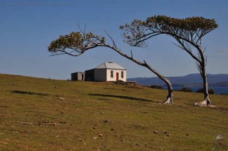 Maria Island.036 11h36m15s2019 10 05 Maria Island.036 11h36m15s2019 10 05