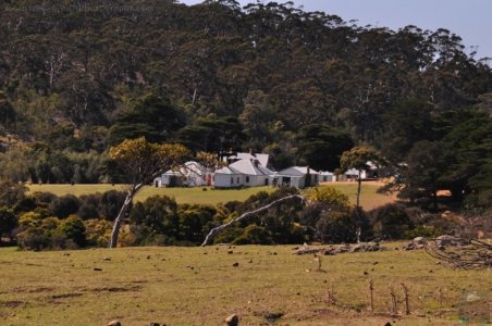 Maria Island.038 11h39m31s2019 10 05 Maria Island.038 11h39m31s2019 10 05