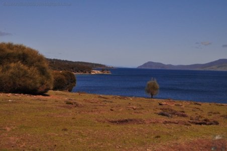 Maria Island.039 11h43m45s2019 10 05 Maria Island.039 11h43m45s2019 10 05