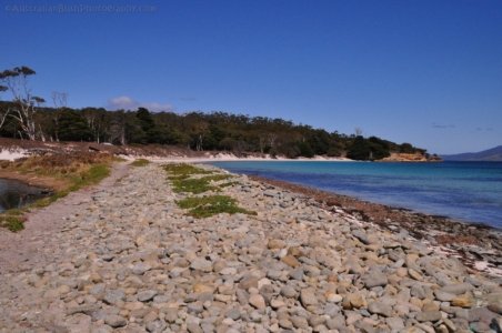 Maria Island.044 11h50m31s2019 10 05 Maria Island.044 11h50m31s2019 10 05