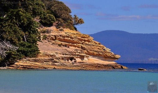 Maria Island.049 11h57m20s2019 10 05 Maria Island.049 11h57m20s2019 10 05