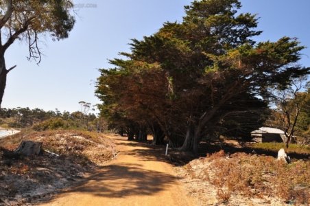 Maria Island.064 12h08m53s2019 10 05 Maria Island.064 12h08m53s2019 10 05