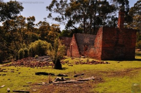 Maria Island.078 12h29m28s2019 10 05 Maria Island.078 12h29m28s2019 10 05