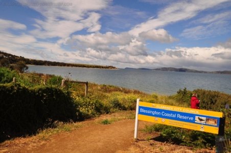 Blessington Reserve South Arm.001 09h50m10s2019 11 04 Blessington Reserve South Arm.001 09h50m10s2019 11 04