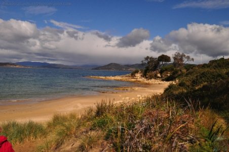 Blessington Reserve South Arm.002 09h50m36s2019 11 04 Blessington Reserve South Arm.002 09h50m36s2019 11 04