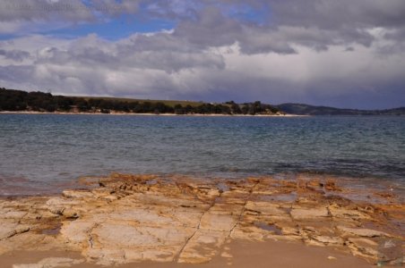 Blessington Reserve South Arm.005 09h57m58s2019 11 04 Blessington Reserve South Arm.005 09h57m58s2019 11 04