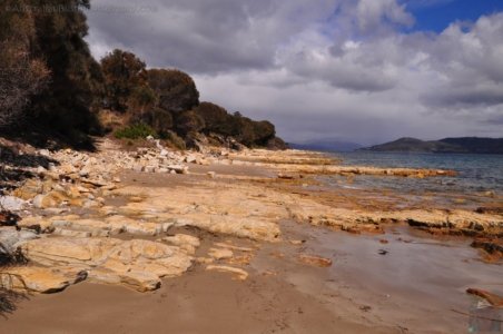 Blessington Reserve South Arm.009 10h05m41s2019 11 04 Blessington Reserve South Arm.009 10h05m41s2019 11 04