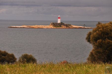 Blessington Reserve South Arm.015 10h13m49s2019 11 04 Blessington Reserve South Arm.015 10h13m49s2019 11 04