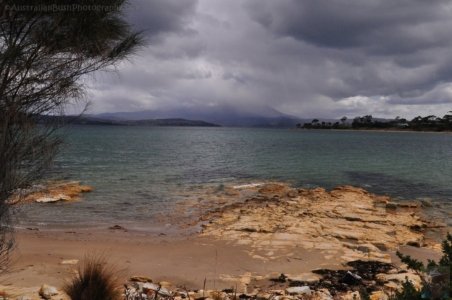 Blessington Reserve South Arm.022 10h20m09s2019 11 04 Blessington Reserve South Arm.022 10h20m09s2019 11 04