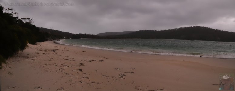Boltons Green Beach Cockle Creek Boltons Green Beach Cockle Creek