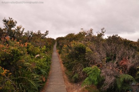 Bruny Lighthouse.004 09h43m19s2019 11 27