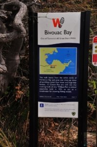 Canoe Bay Walk.004 10h08m35s2019 11 02