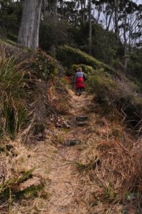 Canoe Bay Walk.005 10h08m41s2019 11 02