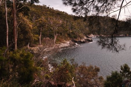 Canoe Bay Walk.009 10h15m29s2019 11 02