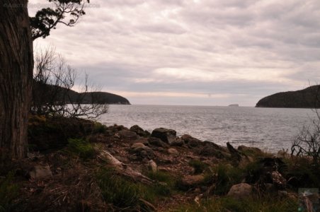 Canoe Bay Walk.011 10h18m18s2019 11 02