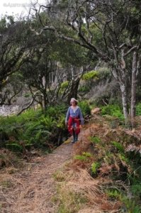 Canoe Bay Walk.012 10h18m32s2019 11 02